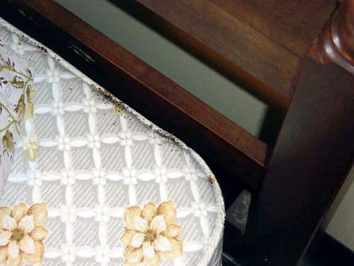 Bed bugs along the seam of a mattress.